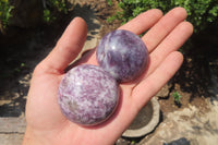 Polished Lepidolite with Pink Rubellite Palm Stones x 12 From Ambatondrazaka, Madagascar