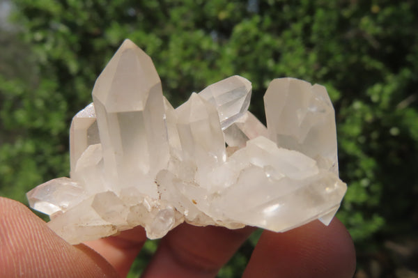 Natural Clear Quartz Clusters x 35 From Madagascar