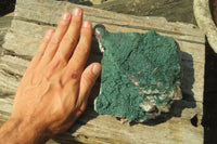 Natural Botryoidal Malachite Specimens x 2 From Tenke Fungurume, Congo