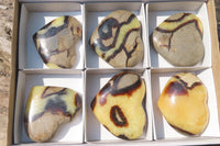 Polished Septerye Gemstone Hearts x 6 From Madagascar