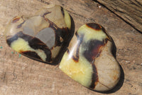 Polished Septerye Gemstone Hearts x 6 From Madagascar