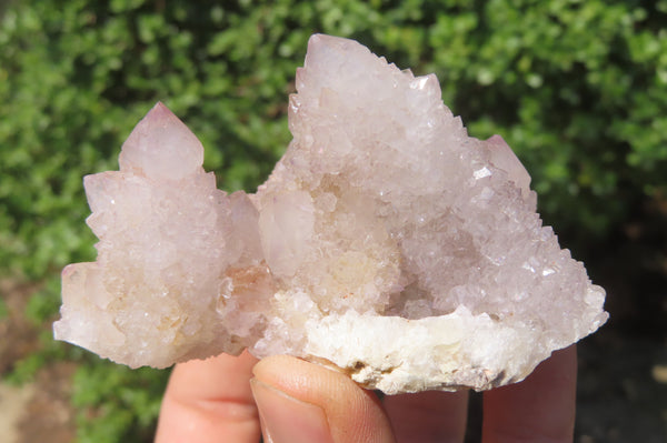 Natural Amethyst Spirit Quartz Clusters x 12 From Boekenhouthoek, South Africa