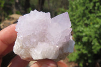 Natural Amethyst Spirit Quartz Clusters x 12 From Boekenhouthoek, South Africa