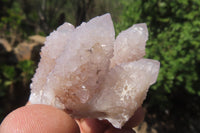 Natural Amethyst Spirit Quartz Clusters x 12 From Boekenhouthoek, South Africa