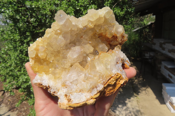 Natural Limonite Quartz Geode Specimens x 4 From Zambia