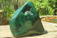 Polished Flower Banded Malachite Free Forms x 2 From Congo