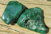 Polished Flower Banded Malachite Free Forms x 2 From Congo