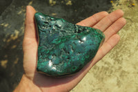 Polished Flower Banded Malachite Free Forms x 2 From Congo