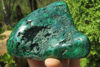 Polished Flower Banded Malachite Free Forms x 2 From Congo