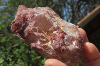 Natural Red Hematoid Quartz Clusters x 6 From Karoi, Zimbabwe