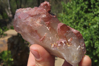 Natural Red Hematoid Quartz Clusters x 6 From Karoi, Zimbabwe