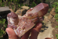 Natural Red Hematoid Quartz Clusters x 6 From Karoi, Zimbabwe