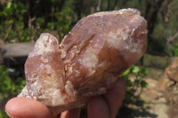 Natural Red Hematoid Quartz Clusters x 6 From Karoi, Zimbabwe