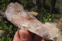 Natural Red Hematoid Quartz Clusters x 6 From Karoi, Zimbabwe