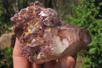 Natural Red Hematoid Quartz Clusters x 6 From Karoi, Zimbabwe