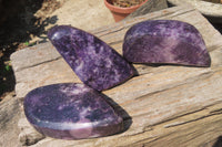 Polished Lepidolite Free Forms x 3 From Zimbabwe