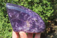 Polished Lepidolite Free Forms x 3 From Zimbabwe