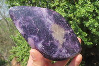 Polished Lepidolite Free Forms x 3 From Zimbabwe