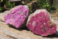 Natural Salrose Cobaltion Dolomite Specimens x 6 From Kakanda, Congo