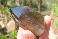 Polished Smokey Quartz Crystals x 6 From Madagascar