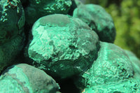 Natural Botryoidal Malachite Specimen x 1 From Tenke Fungurume, Congo