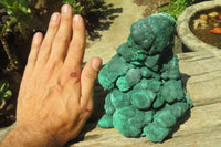 Natural Botryoidal Malachite Specimen x 1 From Tenke Fungurume, Congo