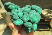 Natural Botryoidal Malachite Specimen x 1 From Tenke Fungurume, Congo