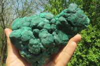 Natural Botryoidal Malachite Specimen x 1 From Tenke Fungurume, Congo