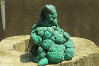 Natural Botryoidal Malachite Specimen x 1 From Tenke Fungurume, Congo