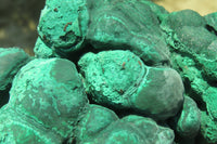 Natural Botryoidal Malachite Specimen x 1 From Tenke Fungurume, Congo