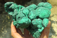 Natural Botryoidal Malachite Specimen x 1 From Tenke Fungurume, Congo