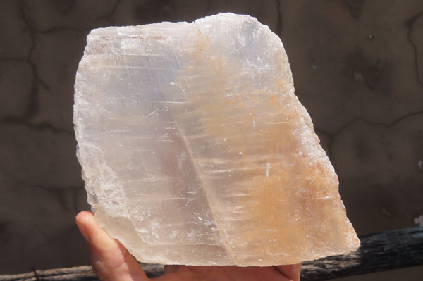 Natural Clear Gypsum Crystal Specimen x 1 From Namibia