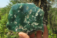 Polished On One Side Emerald Mtorolite x 5 From Mutorashanga, Zimbabwe