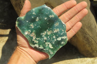 Polished On One Side Emerald Mtorolite x 5 From Mutorashanga, Zimbabwe