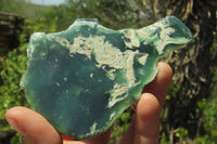 Polished On One Side Emerald Mtorolite x 5 From Mutorashanga, Zimbabwe