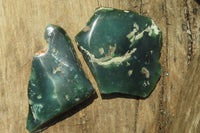 Polished On One Side Emerald Mtorolite x 5 From Mutorashanga, Zimbabwe