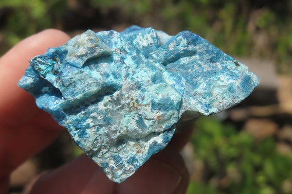 Natural Shattuckite Cobbed Specimens x 12 From Namibia