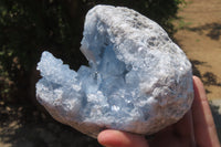 Natural Celestite Geode Specimen x 1 From Sakoany, Madagascar