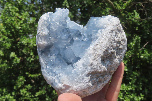 Natural Celestite Geode Specimen x 1 From Sakoany, Madagascar