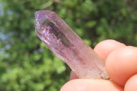 Natural Brandberg Amethyst Quartz Crystals x 63 From Namibia