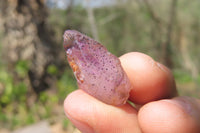 Natural Brandberg Amethyst Quartz Crystals x 63 From Namibia