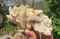 Natural Fairy Spirit Quartz Clusters x 8 From Boekenhouthoek, South Africa