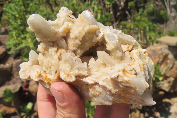 Natural Fairy Spirit Quartz Clusters x 8 From Boekenhouthoek, South Africa