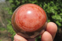 Polished Polychrome Jasper Spheres x 6 From Madagascar