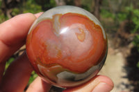 Polished Polychrome Jasper Spheres x 6 From Madagascar