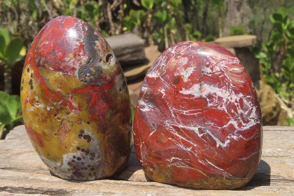 Polished 8th Vein Ocean Jasper Standing Free Forms x 2 From Madagascar