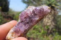 Natural Zululand Amethyst Agate Specimens x 42 from Jozini, South Africa