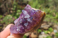 Natural Zululand Amethyst Agate Specimens x 42 from Jozini, South Africa