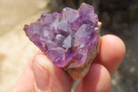 Natural Zululand Amethyst Agate Specimens x 42 from Jozini, South Africa