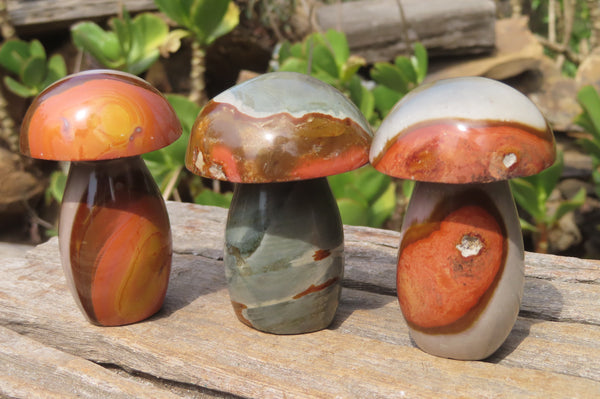 Polished Polychrome Jasper Mushroom Carvings x 12 From Madagascar